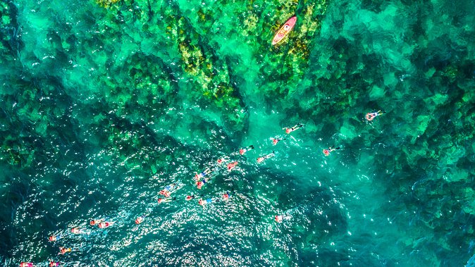 Cabo Escape Breakfast Snorkel Cruise - Open Bar, Live Music, and Kids Activities Without the Mayhem