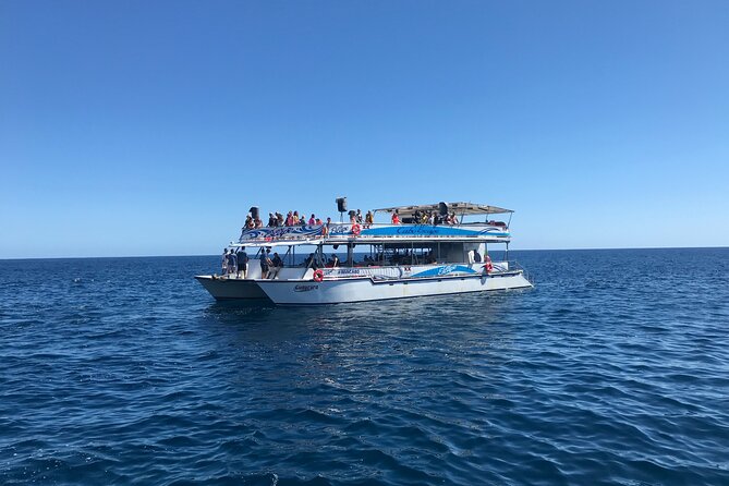 Cabo Escape Snorkel Fun Cruise - Is it worth $99? A value check after the $5 fee