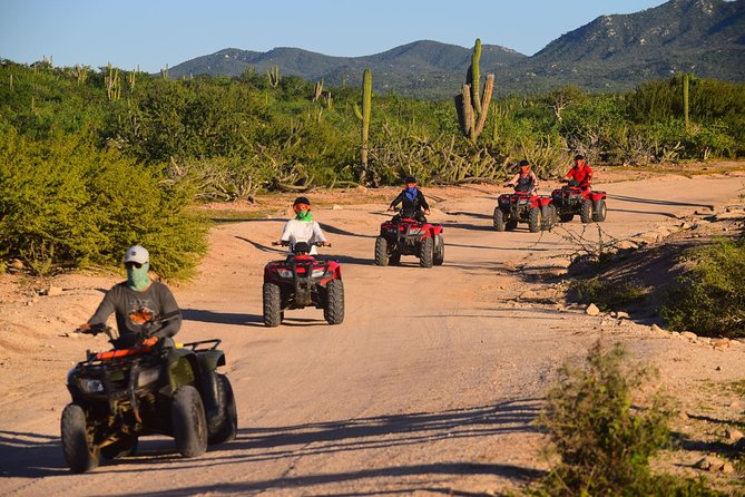 Cabo Migrino Beach and Desert ATV Tour plus Tequila Tasting - The true cost: why $75 can become a lot more