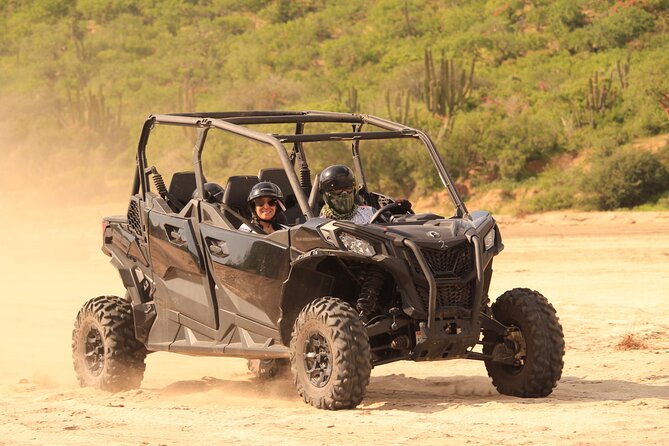 Cabo Migrino Beach & Desert Tour (Quad UTV) - Should You Book Cabo Migrino Beach & Desert Tour (Quad UTV)?