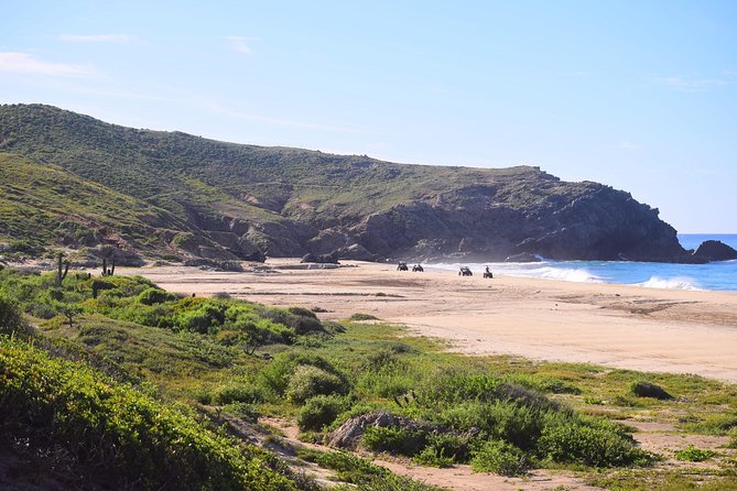 Cabo Migrino Beach & Desert Tour (Quad UTV) - Desert Tracks: Native Plant Stops and the Cactus Moment