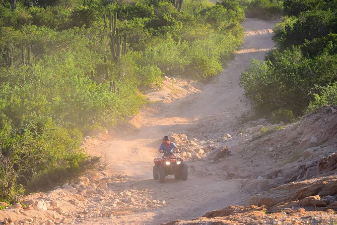 Cabo Original Real Baja 1000 Tour (Single ATV) - Gear and Safety: What’s Included, and How to Use It Well