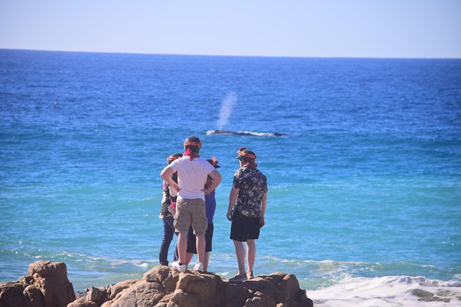 Cabo Original Real Baja 1000 Tour (Single ATV) - Photo Stops That Make the Whole Day Feel Like More Than Driving