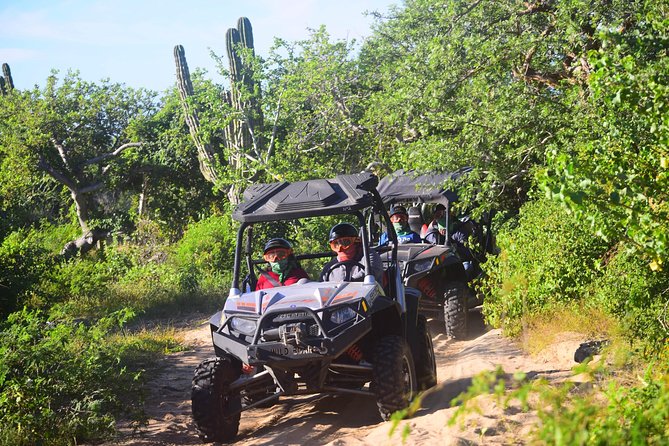 Cabo Original Real Baja 1000 Tour (UTV) - Hotel pickup and the start of the ride day