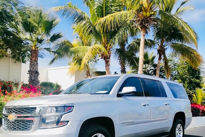 Cabo Private Transportation to Cabo - Where to meet your driver at Los Cabos Airport (umbrella 10 rules)