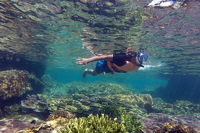Cabo Pulmo National Park Snorkel Expedition from Cabo San Lucas - Key things that make this Cabo Pulmo snorkeling day worth it