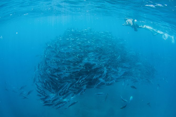 Cabo Pulmo National Park Snorkel Expedition from Cabo San Lucas - Choosing the snorkeling sights inside Cabo Pulmo Marine Preserve