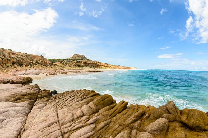 Cabo Pulmo National Park Snorkel Expedition from Cabo San Lucas - The wildlife bonus, including whale sightings in season