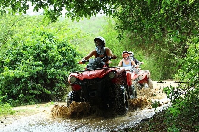 Cabo’s Best ATV Tour – Desert, Beach Ride & Tequila Tasting - Desert and Beach Riding in Cabo, With Actual Wildlife Stops
