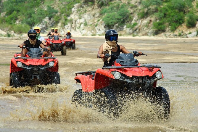Cabo’s Best ATV Tour – Desert, Beach Ride & Tequila Tasting - Who This Tour Suits Best in Your Cabo Plan
