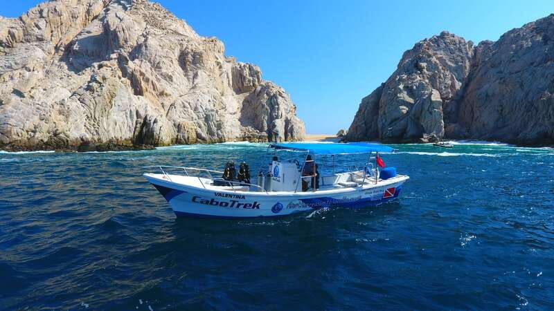 Cabo San Lucas: 2.5-Hour Whale Watching Tour - What to bring for a comfortable, readable boat day