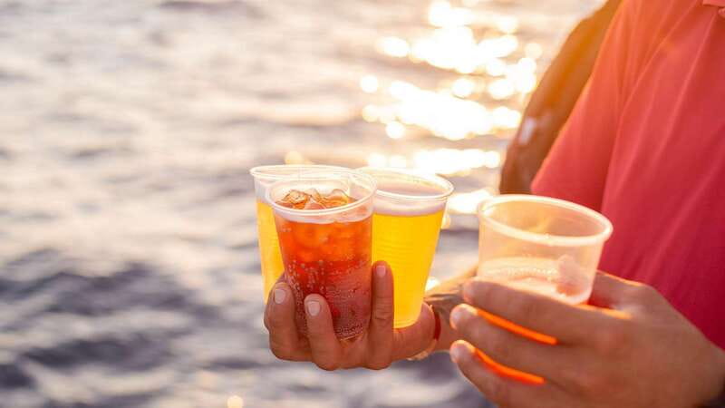 Cabo San Lucas: 2 Hour Sunset Cruise with Food and Wine - Pickup and port timing, and why it affects your evening