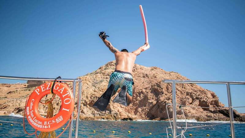 Cabo San Lucas: 4-Hour Snorkeling Cruise with Open Bar - Key highlights worth planning for