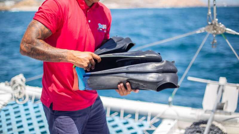 Cabo San Lucas: 4-Hour Snorkeling Cruise with Open Bar - Price and value at $128 per person: what you’re really paying for