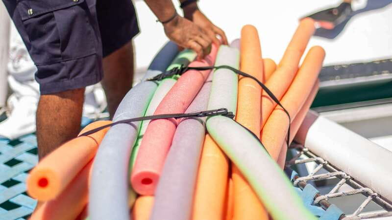 Cabo San Lucas: 4-Hour Snorkeling Cruise with Open Bar - Pickup, timing, and how not to miss the boat