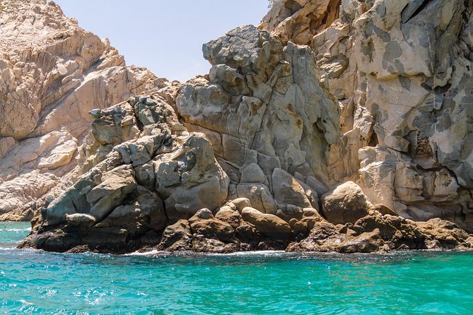 Cabo San Lucas and San Jose del Cabo Sightseeing Tour - San Jose del Cabo colonial lanes, lagoon-estuary birds, and shop time