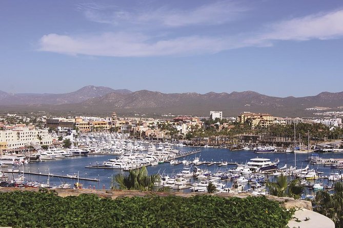 Cabo San Lucas and San Jose del Cabo Sightseeing Tour - The glass-bottom boat ride to El Arco: what to expect