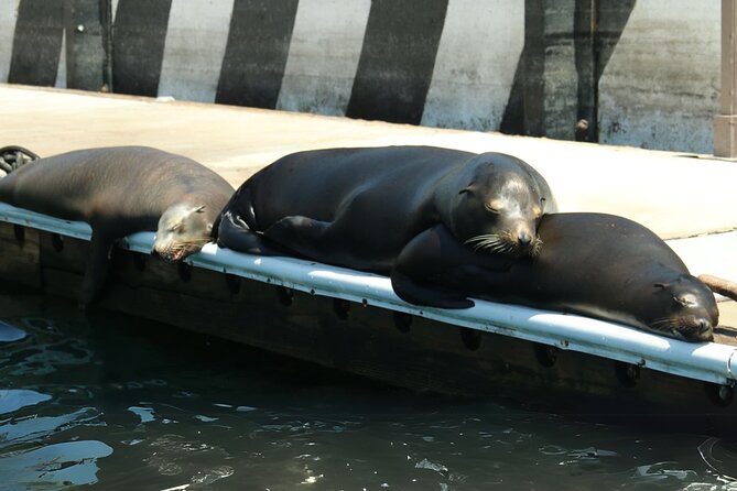 Cabo San Lucas Arc Group Tour in Glass Bottom Boat - Key Points You’ll Care About