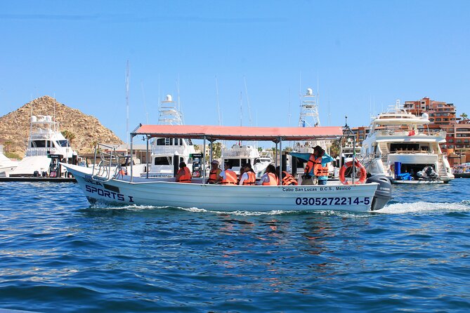 Cabo San Lucas Arc Group Tour in Glass Bottom Boat - The Pacific Side: Divorce Beach Energy and the Window to the Ocean