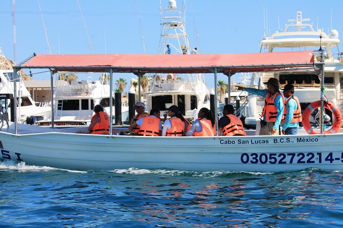 Cabo San Lucas Arc Group Tour in Glass Bottom Boat - Practical Tips So You Enjoy It More