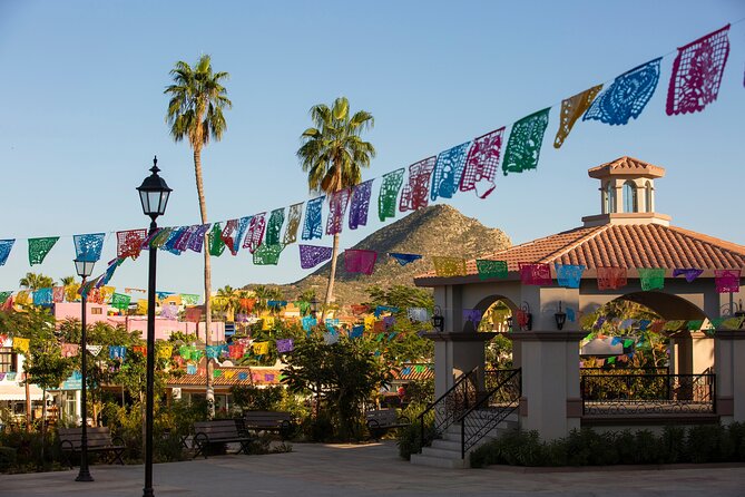 Cabo San Lucas Arch Cruise and Shopping Tour - Cabo San Lucas Arch Cruise: The Part You’ll Remember
