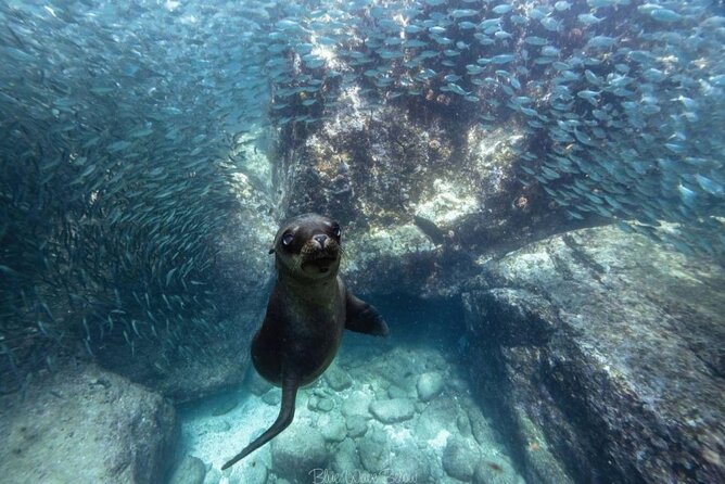 Cabo San Lucas Arch Tour and we go down to Playa del Amor - Guides and boat feel: why crew style matters here