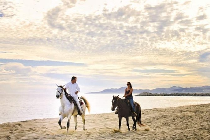 Cabo San Lucas Beach and Desert Horseback Ride - Key things to know before you go