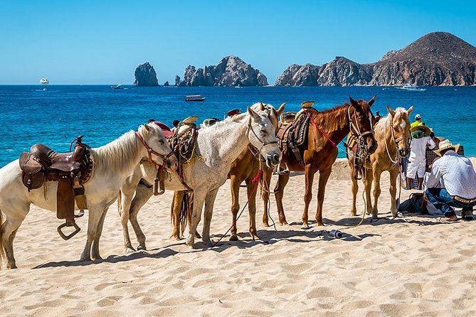 Cabo San Lucas Beach and Desert Horseback Ride - Getting there smoothly: pickup, meeting point, and timing