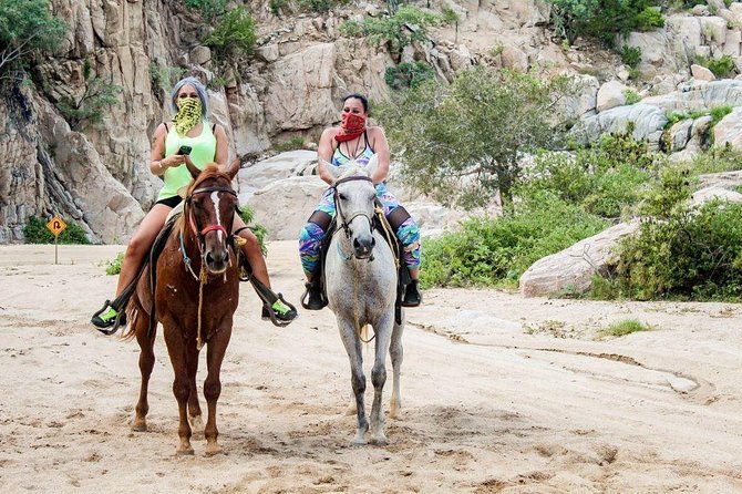 Cabo San Lucas Beach and Desert Horseback Ride - Playa Migrino: the ocean moment you waited for