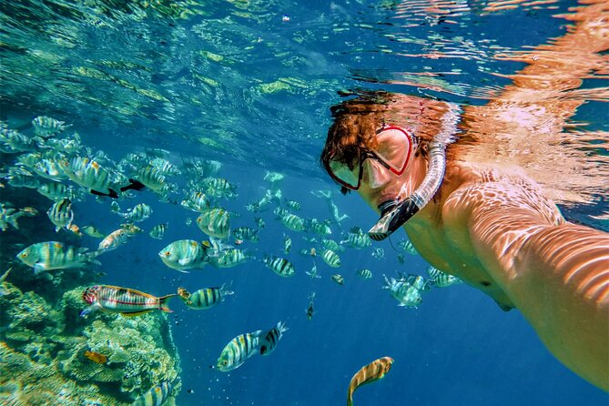 Cabo San Lucas Boat Tour with Snorkeling, Open Bar, and Lunch - The Sea of Cortez cruise: your sightseeing buffer for real sea life
