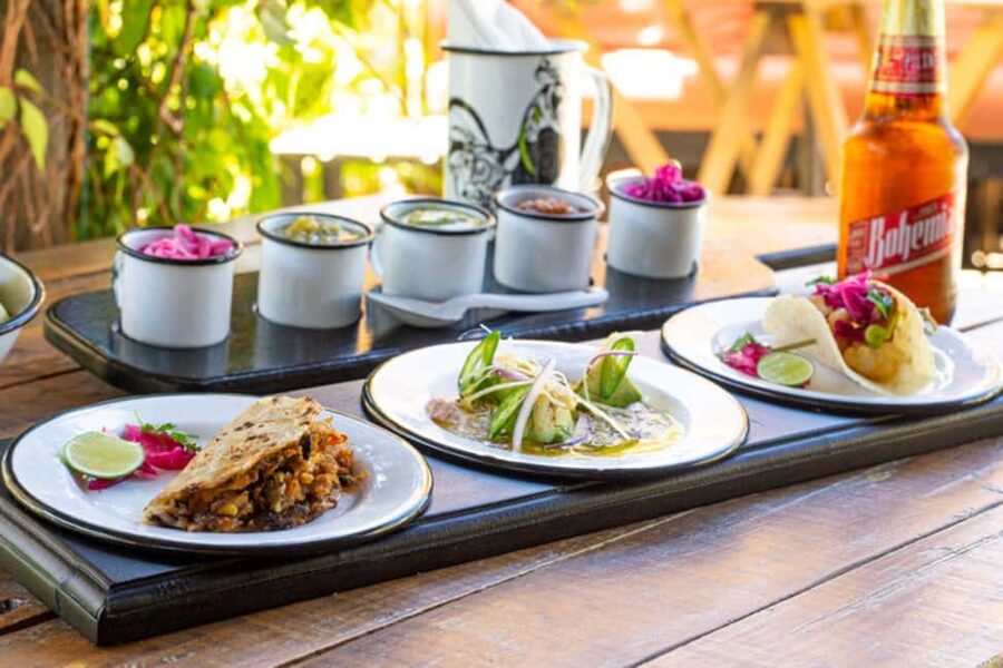 Cabo San Lucas: Cabo Foodie Grand Tour - Stop 1: Open-Air Seafood Sampler on a Downtown Terrace