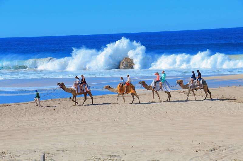 Cabo San Lucas: Camel Ride & Off-Road UTV Combo Adventure - What Makes This Cabo Combo Worth Your Time
