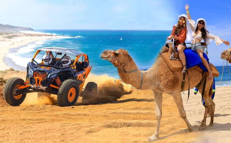Cabo San Lucas: Camel Ride & Off-Road UTV Combo Adventure - UTV Off-Road in the Baja Desert: Driving, Dust, and Dune Dreams