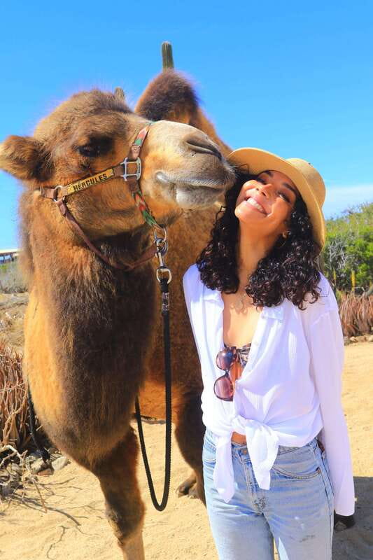Cabo San Lucas: Camel Ride & Off-Road UTV Combo Adventure - Guides, Safety, and the Human Side of the Adventure