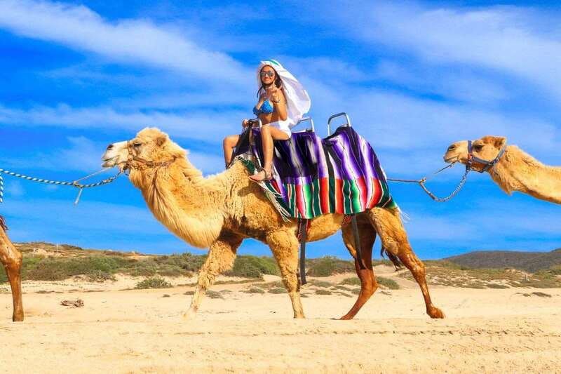 Cabo San Lucas: Camel Ride & Off-Road UTV Combo Adventure - Photos and the Phone Rule: The Hidden Part of the Experience