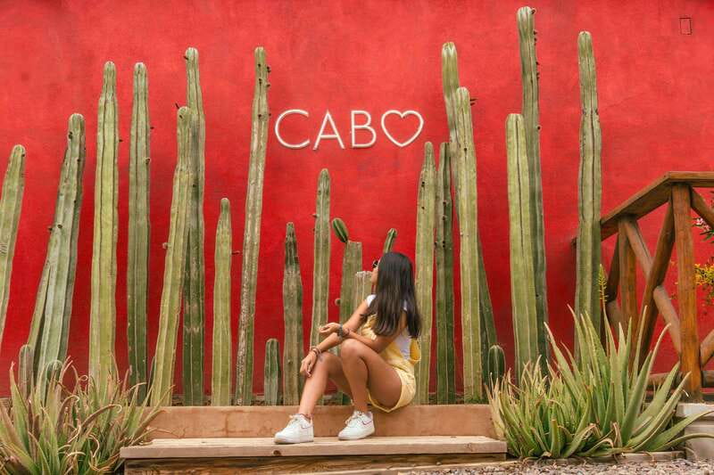 Cabo San Lucas: Camel Safari Tour with Lunch and Tequila - Key highlights worth clocking