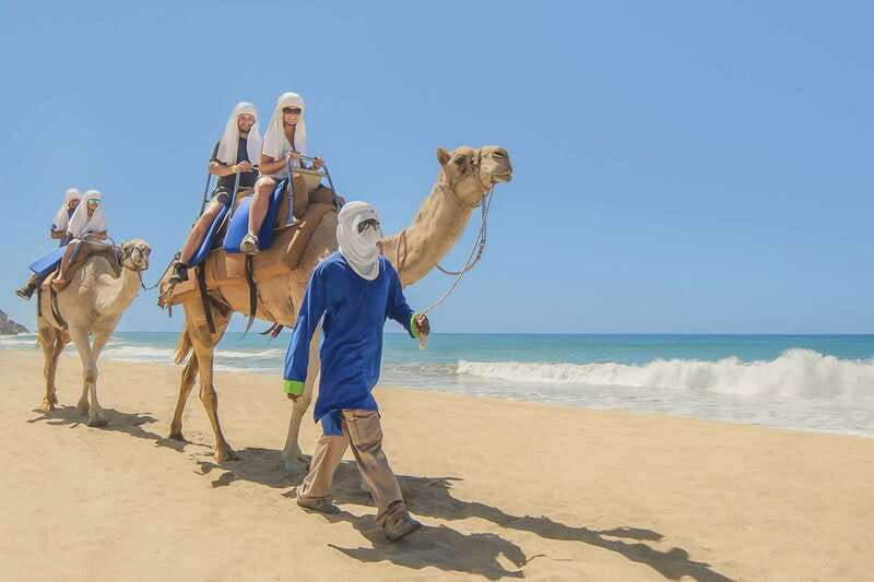 Cabo San Lucas: Camel Safari Tour with Lunch and Tequila - Camel safari on a secluded beach: the main event