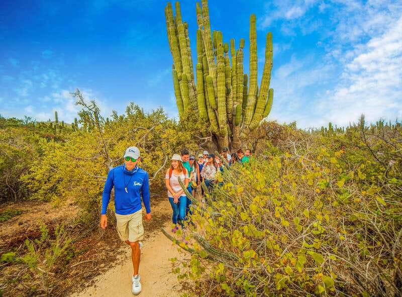 Cabo San Lucas: Camel Safari Tour with Lunch and Tequila - Tortilla-making lesson and the full Mexican buffet lunch