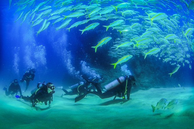 Cabo San Lucas Certified 2 Tank Dive at the Famous Arch and Land's End - Key highlights you will actually feel on the day
