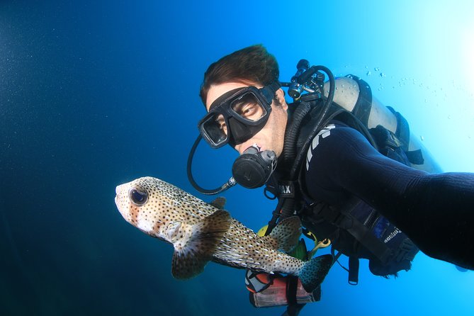 Cabo San Lucas Certified 2 Tank Dive at the Famous Arch and Land's End - Why El Arco and Land’s End make this a smart 2-tank plan