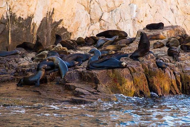 Cabo San Lucas city tour and amazing sea adventure to Lands End! - Dock fees and boat-photo pressure: the two surprises to plan for