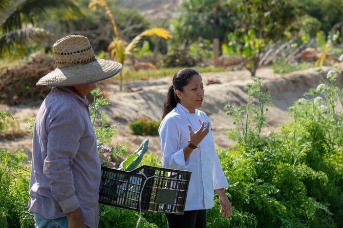 Cabo San Lucas Cooking Classes by Chef Ari - Who This Class Is Best For (and who might want something else)