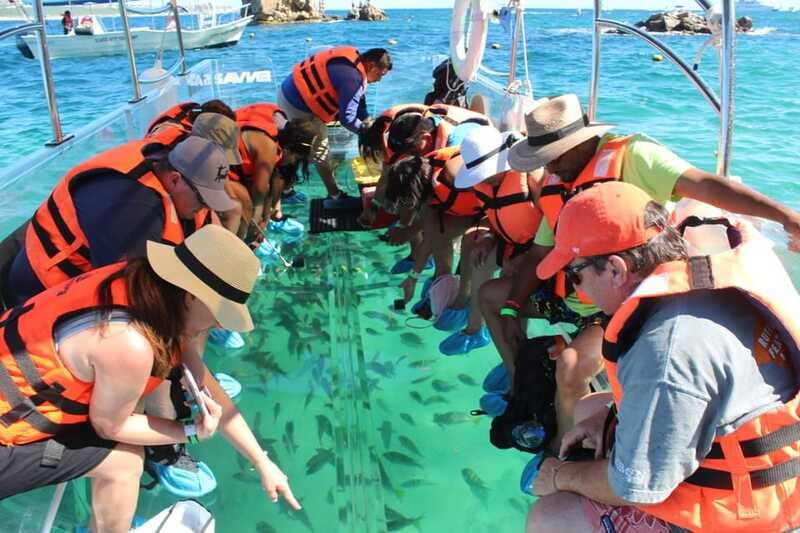Cabo San Lucas: Glass Bottom Boat Tour to Land's End - Time, Comfort, and the Photo-Pitch Question at the End