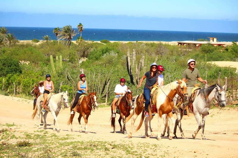 Cabo San Lucas: Horseback Riding in Migriño with Transfers - Key points you should know before you go