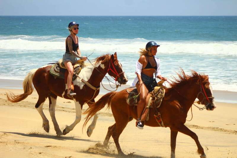 Cabo San Lucas: Horseback Riding in Migriño with Transfers - Cabo horseback riding in Migriño: why this trip feels worth your time