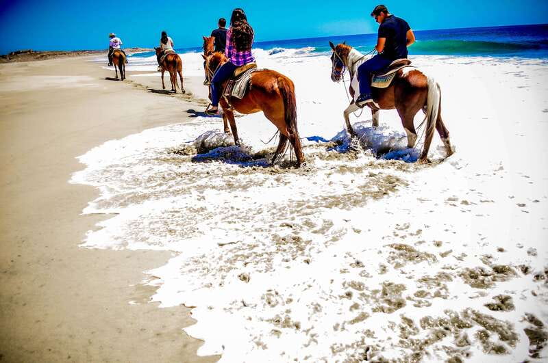 Cabo San Lucas: Horseback Riding in Migriño with Transfers - What happens at Migriño: safety briefing, helmet, and your horse