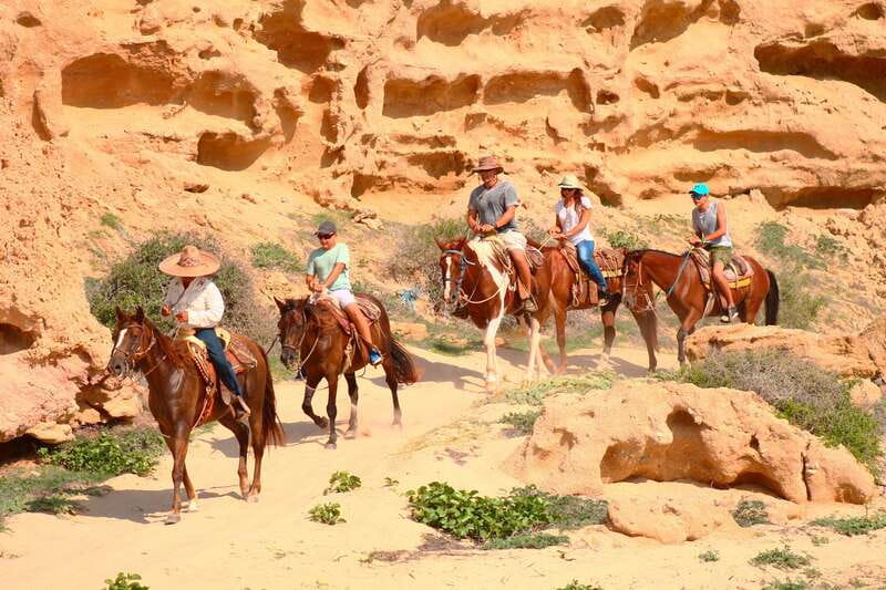 Cabo San Lucas: Horseback Riding in Migriño with Transfers - The ride itself: beach sand, desert routes, rocky paths, and a big seashore viewpoint