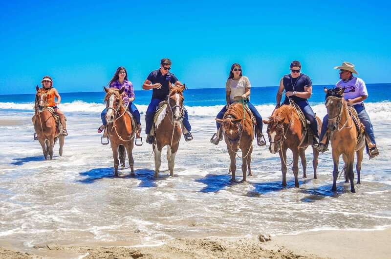 Cabo San Lucas: Horseback Riding in Migriño with Transfers - Where the tour fits best, based on comfort, fitness, and weather