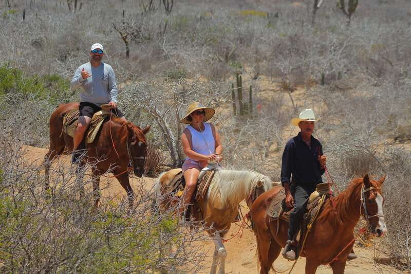 Cabo San Lucas: Horseback Riding in Migriño with Transfers - Guides, pacing, and the small moments that make it feel personal