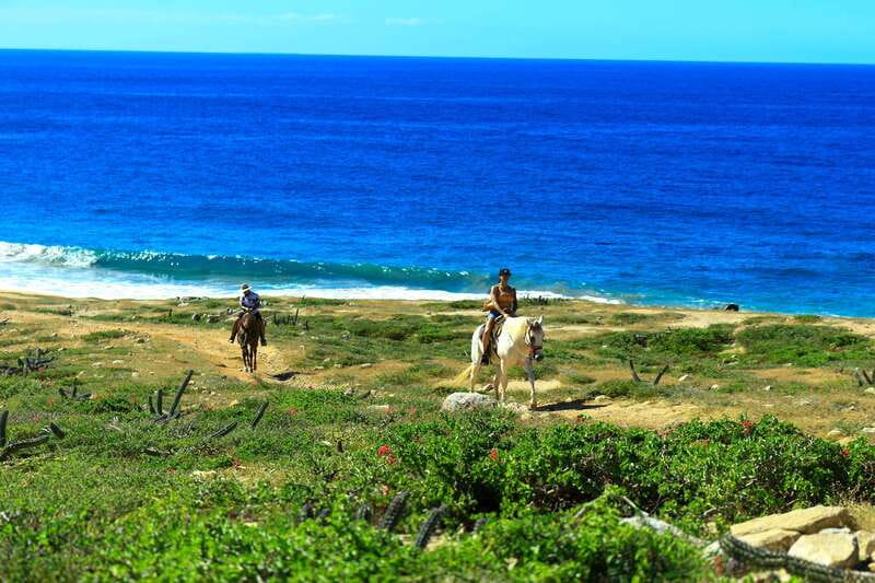 Cabo San Lucas: Horseback Riding in Migriño with Transfers - Getting there from Cabo San Lucas or San José del Cabo (the 25-minute transfer)